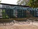 vogelpark-(2)