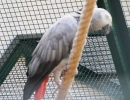 vogelpark-(8)