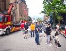 IMG-20260531-WA0049