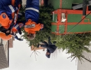 2024_01_14_Christbaum Sammelaktion Bild Sulzbach 2