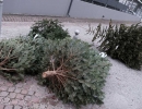 DSCF0677