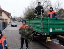 DSCF0691