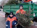 DSCF0694