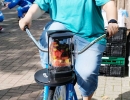 DSCF6737