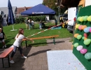 DSCF6776
