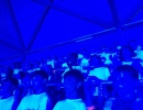 shared image (12)