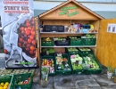 Bild 3 Foodsharing Viernheim
