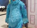DSCN5887