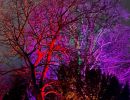 !cid_32D8E327-031A-430C-A683-E0836D308B56
