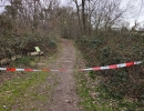 IMG-20260313-WA0019