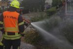 Polizei-Nachrichten