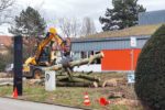 Rodungsarbeiten vor der Kita Kapellenberg – Erweiterungsbau soll im Sommer beginnen