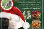 Am 23.11.2024 + 24.11.2024 von 10:00-18:00 Uhr findet bei Katzen in Not Grenzenlos e.V., Bertholdus-Pfenningh-Str. 13, 68519 Viernheim, die  Adventsausstellung statt 🌲🎅