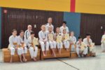 1. Viernheimer Karate-Dojo e.V.: Kleine Kämpfer ganz groß