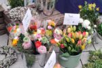 Märkte in Viernheim:     Neu auf dem Spezialitätenmarkt: Frische Schnittblumen und individuelle Blumenarrangements