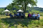 Heimattage im Weinberg genossen – Erste Weinbergs-Weinprobe in Ritschweier war gleich ein Erfolg – Hoffest am 28. Juni