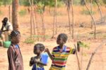 Sommerspendenaktion des Freundeskreises Yaa Soma: Werden Sie Schattenspender – Gemeinsam für grünere Schulen in Burkina Faso