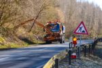 Baumrückschnitt erhöht Verkehrssicherheit  – Gehölzpflegearbeiten im Kreis Bergstraße haben begonnen