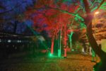 Lichter im Park: Weihnachtsmarkt im Vogelpark Viernheim trotz Schließung Lichter im Park: Weihnachtsmarkt im Vogelpark Viernheim trotz Schließung