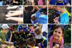 Kita Musica Kinder werden Gemüseprofis Viernheim