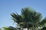In eigener Sache: Auch wir brauchen eine kleine Sommerpause In eigener Sache: Auch wir brauchen eine kleine Sommerpause