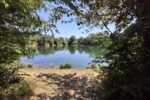 Natur erleben und genießen – Kompass e. V. lädt zur beliebten Federweißer-Wanderung am Waldsee ein