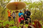 Naturfotografie bei feuchtem Schmuddelwetter Naturfotografie bei feuchtem Schmuddelwetter