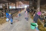 Herbstferienprogramm des AWO Familienzentrums Herbstferienprogramm des AWO Familienzentrums