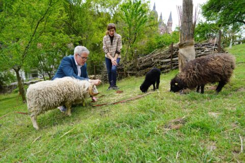 Bergsträßer Jahr der Streuobstwiese startet