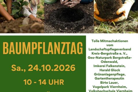 Amt für Stadtentwicklung und Umweltplanung: 3. Viernheimer Baumpflanztag im Bannholzgraben –   Vorbeikommen und Mitmachen!